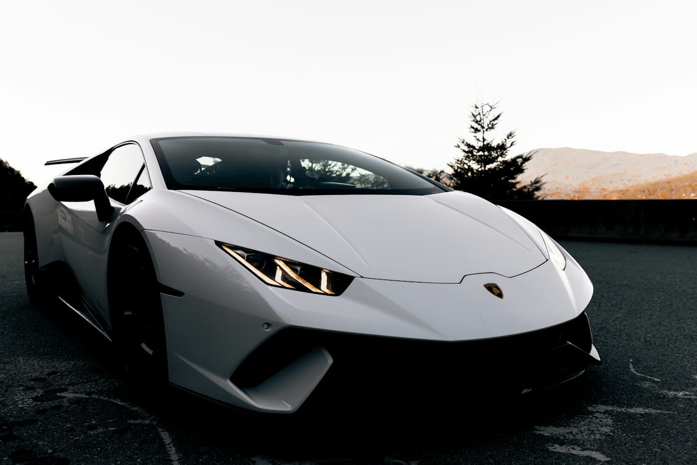 White Lamborghini detail